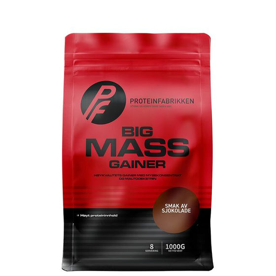 Big Mass Gainer, 1000g
