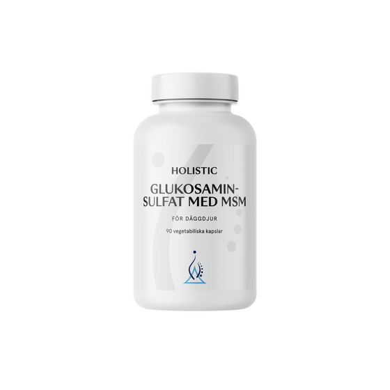 Glukosaminsulfat med MSM 90k