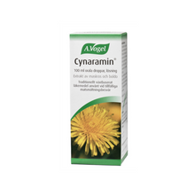  Cynaramin 100ml