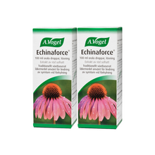  Echinaforce Ekonomipack 2x100ml