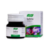 Salvia 60t