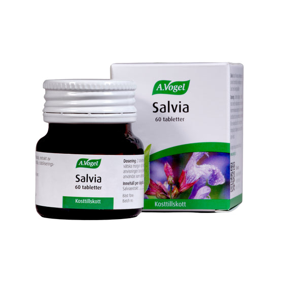 Salvia 60t
