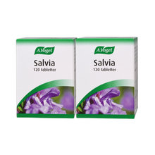  Salvia Ekonomipack 2x120t