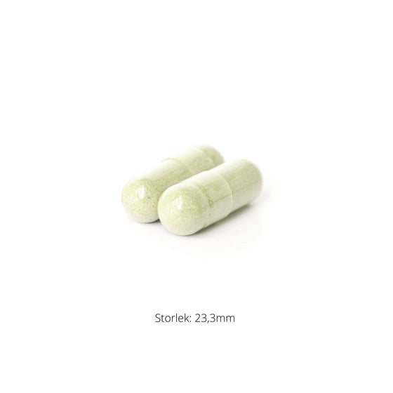 Boswellia Phytosome 60k