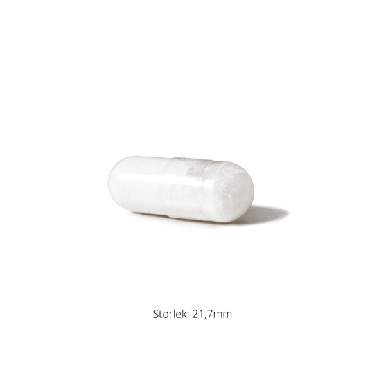 Bacillus Coagulans 60k