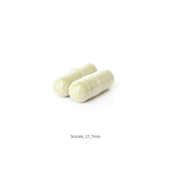 Plantizyme 90k
