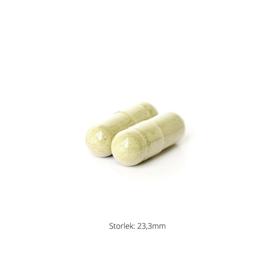 Crucera-SGS 60k